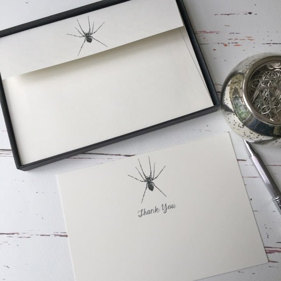 Thank you cards with a Spider illustration
