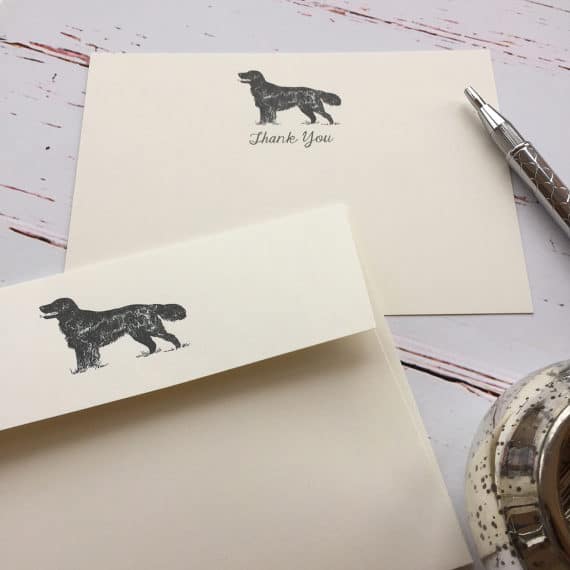 Thank you cards with a Retriever illustration